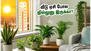 வெயில் கொடுமையா? இந்த வாஸ்து செடிகள் இருந்தா போதும், வீடு ஏசி போல ஜில்லுனு இருக்கும்!