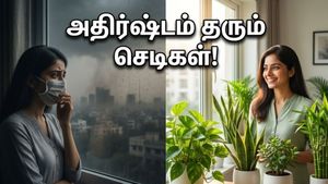 வீட்டில் இந்த 4 செடிகள் இருந்தா போதும்… புழுதிப் புயலையும் தாண்டி அதிர்ஷ்டம் தேடி வரும்!
