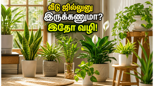 வெயில் கொடுமையா? வீட்டை ஜில்லுனு வச்சுக்க இந்த வாஸ்து செடிகள் இருந்தா போதும், பணமும் தேடி வரும்!