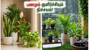 வீட்டை குளிர்ச்சியாக வைக்க இந்த செடிகள் போதும்… பணமும் அதிர்ஷ்டமும் தானாக தேடி வரும்!