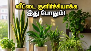 கோடை வெயிலில் வீட்டை குளிர்ச்சியாக வைக்கணுமா? இந்த வாஸ்து செடிகள் இருந்தா பணமும் அதிர்ஷ்டமும் தேடி வரும்!