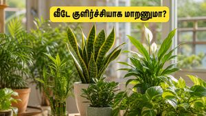 கோடை வெயிலால் அவதியா? இந்த வாஸ்து செடிகளை வீட்டில் வையுங்க… குளிர்ச்சியும் பணவரவும் தானாக தேடி வரும்!