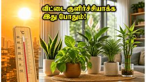 கடும் வெயிலில் வீட்டை குளிர்ச்சியாக வைக்கணுமா? இந்த வாஸ்து செடிகள் இருந்தா பணமும் அதிர்ஷ்டமும் தேடி வரும்!