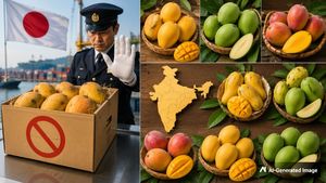 இந்திய மாம்பழங்களுக்கு தடை விதித்த ஜப்பான்: உலக புகழ்பெற்ற இந்திய மாம்பழ வகைகளும்.. அவற்றின் பிறப்பிடமும்..