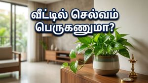 டெல்லி மழையால் மாறிய சூழல்! வீட்டை மாற்றும் அந்த 4 லக்கி செடிகள் இதோ!