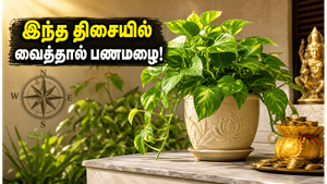 கோடையில் வீட்டை குளிர்ச்சியாக வைக்கணுமா? மணி பிளாண்ட் செடியை இந்த திசையில் வைத்தால் பணமழை கொட்டும்!