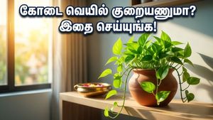 வீட்டில் மணி பிளாண்ட் இருக்கா? இந்த திசையில் வைத்தால் கோடை வெயில் பறந்து போகும்!