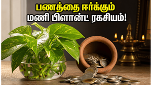 மணி பிளான்ட் செடியை இந்த திசையில் வைத்தால் போதும்… பண வரவு தானாக அதிகரிக்கும் ரகசியம்!