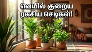 வீட்டில் இந்த செடிகளை வையுங்க… கோடை வெயில் பறந்து போகும், பணமும் கொட்டும்!
