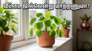 வெயில் வாட்டி வதைக்குதா? வீட்டை ஜில்லென்று மாற்ற இந்த 5 செடிகள் போதும், அதிர்ஷ்டமும் தேடி வரும்!