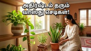 கோடை வெயிலுக்கு இதமான வீடு வேண்டுமா? இந்த 3 வாஸ்து செடிகள் இருந்தா போதும், அதிர்ஷ்டம் தேடி வரும்!
