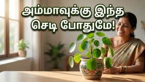 அம்மாவுக்கு இந்த செடிகளை பரிசளித்தால் அதிர்ஷ்டம் கொட்டும்! அன்னையர் தினத்தில் இதை மட்டும் செய்யாதீங்க!