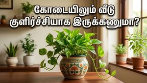 சுட்டெரிக்கும் கோடை வெயிலிலும் வீடு குளிர்ச்சியாக இருக்கணுமா? இந்த வாஸ்து செடிகளை உடனே மாற்றுங்க!