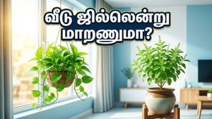 வெயில் கொடுமையா? இந்த 3 வாஸ்து செடிகள் இருந்தா போதும், வீடு ஜில்லென்று மாறும்!