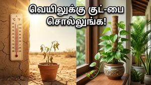 வீட்டை குளிர்ச்சியாக வைக்க இந்த செடிகள் போதுமா? பணவரவை அள்ளித்தரும் வாஸ்து ரகசியம் இதோ!