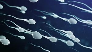 விந்தணுக்களின் நிறமும், அதற்கான அர்த்தங்களும் - விளக்கும் டாக்டர்! 