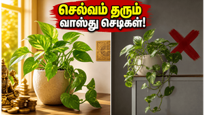 வீட்டில் செல்வம் பெருகணுமா? வாஸ்து சாஸ்திரம் சொல்லும் இந்த செடிகளை சரியான திசையில் வையுங்கள்!