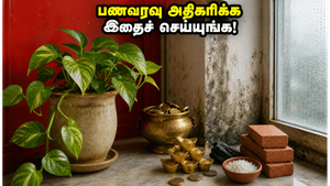 மழைக்காலத்தில் பணவரவு குறையாமல் இருக்கணுமா? மணி பிளாண்ட் வைப்பதில் இந்தத் தவறுகளை மட்டும் செய்யாதீங்க!