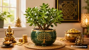 Vastu Tips: வீட்டில் பணம் அதிகமா சேரணுமா? அப்ப வீட்டுல இந்த செடியை வாங்கி வையுங்க..