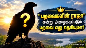 'பறவைகளின் ராஜா' என்று அழைக்கப்படும் பறவை எது? ஏன் அப்படி அழைக்கப்படுகிறது தெரியுமா?