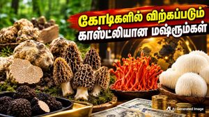 கோடிகளில் விற்கப்படும் உலகின் காஸ்ட்லியான காளான் வகைகள் - இந்த காளான்களில் உள்ள ரகசியம் என்ன தெரியுமா?