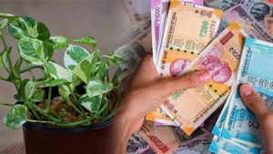 మీ ఇంట్లో మనీ ప్లాంట్ ఉందా? ఈ వాస్తు నియమాలు పాటిస్తేనే సిరిసంపదలు!