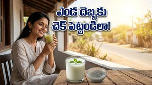 ఎండలు మండిపోతున్నాయా? వడదెబ్బ నుంచి తప్పించుకోవడానికి ఇంట్లోనే ఉన్న ఈ చిట్కాలు ట్రై చేయండి
