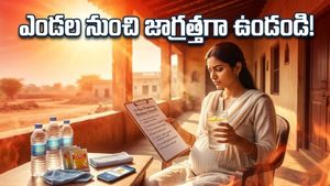 ఎండలు మండిపోతున్నాయి.. గర్భిణీలు ఈ జాగ్రత్తలు తీసుకోకపోతే ప్రమాదమేనా?