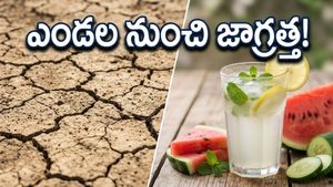 వడగాల్పుల ఎఫెక్ట్: ఎండల నుంచి ప్రాణాలను కాపాడుకోవడానికి ఈ జాగ్రత్తలు తప్పనిసరి!