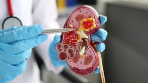  మండుటెండల్లో కిడ్నీలకు ముప్పు.. ఈ తప్పులు అస్సలు చేయకండి!