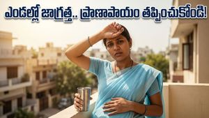 ఎండలు మండిపోతున్నాయి.. గర్భిణులు, పీసీఓఎస్ ఉన్నవారు ఈ జాగ్రత్తలు తీసుకోకపోతే ప్రమాదమే!