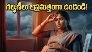 ఎండలు మండిపోతున్నాయి! గర్భిణీలు ఈ జాగ్రత్తలు తీసుకోకపోతే ప్రమాదమే