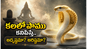 కలలో పాము కనిపిస్తే ఏమి అర్థం? శాస్త్రాలు, స్వప్న శాస్త్రం చెప్పే ఆశ్చర్యకర సంకేతాలు ఇవే!