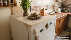 Fridge Vastu: మీ ఇంట్లో ఫ్రిజ్ పైన ఈ 3 వస్తువులు పెడితే పట్టిందల్లా బంగారమే!