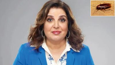 रसोई में कॉकरोचों से परेशान थीं फराह खान, अपनाया ये आसान तरीका और मिल गया छुटकारा