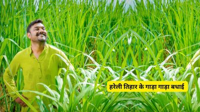 Hareli Tihar 2025 Wishes: अपने छत्तीसगढ़ी म‍ित्रों को दें हरेली तिहार की हार्दिक शुभकामनाएं