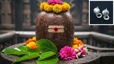 Nag Panchami 2025:  शिवलिंग पर चांदी के नाग-नागिन का जोड़ा क्यों चढ़ाते हैं? जानिए धार्मिक महत्व और फायदे
