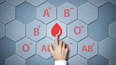 CRIB Blood Group:  कर्नाटक की महिला में मिला दुर्लभ ब्लड टाइप,  सामने आया पहला मामला, जानें खास‍ियत