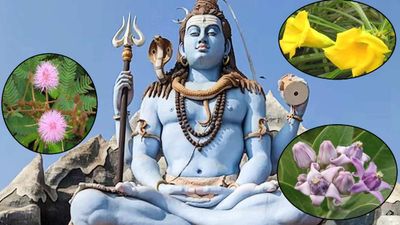 Sawan Somwar 2025: सावन के पहले सोमवार को करें इन 7 फूलों से शिव पूजा, दूर होंगे जीवन के कष्ट