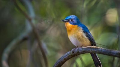Lucky Signs: घर से निकलते समय इन 5 चीजों का दिखना माना जाता है बेहद शुभ, समझ जाएं जल्द बदल सकती है किस्मत