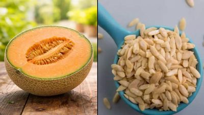 कई समस्याओं का रामबाण इलाज है खरबूजे के बीज, फेंकने से पहले जान लें इनके जबरदस्त फायदे