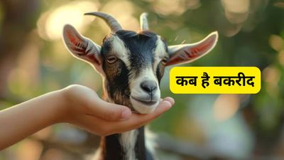 Eid-ul-Adha 2026: 27 या 28 मई, भारत में कब मनाई जाएगी बकरीद? जानें क्यों दी जाती है कुर्बानी