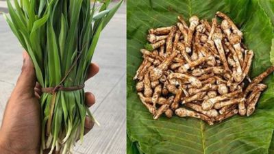 8 Monsoon Vegetables You’ll Want To Try Before The Season Slips Away!