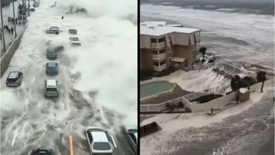 Tsunami Alerts From Hawaii To Japan: What Would You Grab If You Had Only 10 Minutes To Leave?