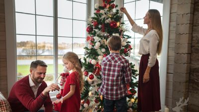 Do You Know How Christmas Trees Became A Holiday Tradition And The Meaning Behind Their Decorations?