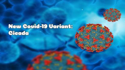 New COVID Variant ‘Cicada’ Spreads to 22 Countries: Should You Be Worried?