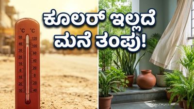 ಸುಡುವ ಬಿಸಿಲಲ್ಲೂ ಮನೆ ತಂಪಾಗಿರಬೇಕೆ? ಕಡಿಮೆ ಖರ್ಚಿನಲ್ಲಿ ಕೂಲರ್ ಇಲ್ಲದೆ ತಂಪಾಗಿಸಲು ಇಲ್ಲಿದೆ ಮ್ಯಾಜಿಕ್ ಟಿಪ್ಸ್!