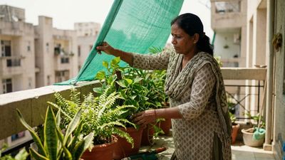 ಮನೆಯನ್ನು ತಂಪಾಗಿಡಲು ಹೀಟ್‌ವೇವ್ ಸಮಯದಲ್ಲಿ ಈ ಟ್ರಿಕ್ಸ್ ಫಾಲೋ ಮಾಡಿ