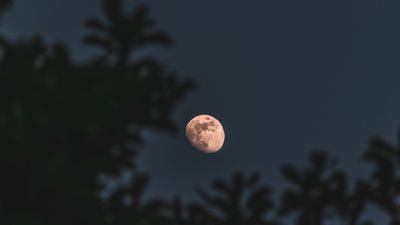 2026-ലെ ആദ്യ ചന്ദ്രഗ്രഹണം: ഹോളി ദിനത്തിലോ ആദ്യ ഗ്രഹണം? അറിയാം തീയ്യതിയും സമയവും