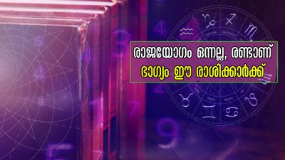 വരുന്ന 7 ദിനത്തില്‍ മീനത്തില്‍ ശുക്രന്റെ വിളയാട്ടം: ശുക്രാദിത്യ രാജയോഗം മീനത്തില്‍, ഭാഗ്യകടാക്ഷം ഈ രാശിക്ക്